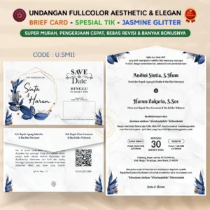U.SM11